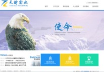 河南天財(cái)實(shí)業(yè)有限公司網(wǎng)站正式上線
