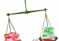 書價不敵豬肉價？鄭州網(wǎng)站建設（轉）